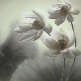 醉醉醉