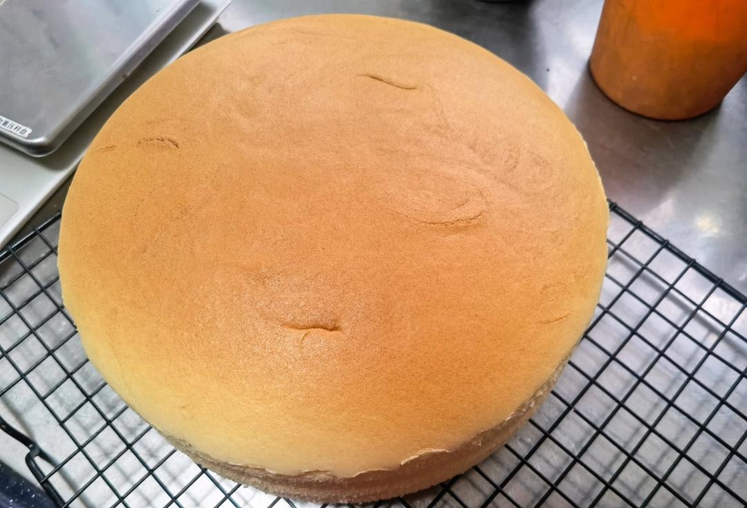 轻乳酪蛋糕（瑞可爷爷同款）网红轻乳酪