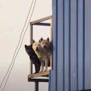 为啥昵称都被用了