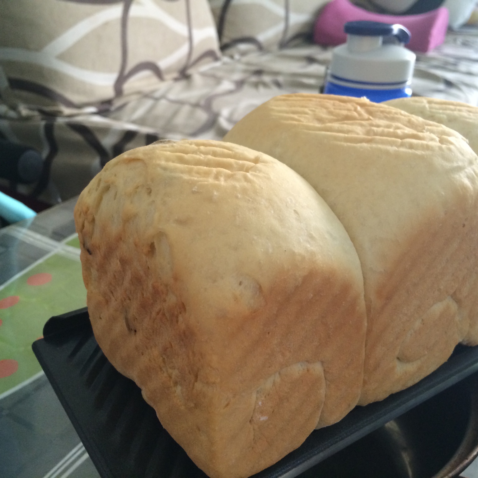 夺命软吐司(๑´ڡ`๑)超软拉丝极速方便的一次发酵吐司