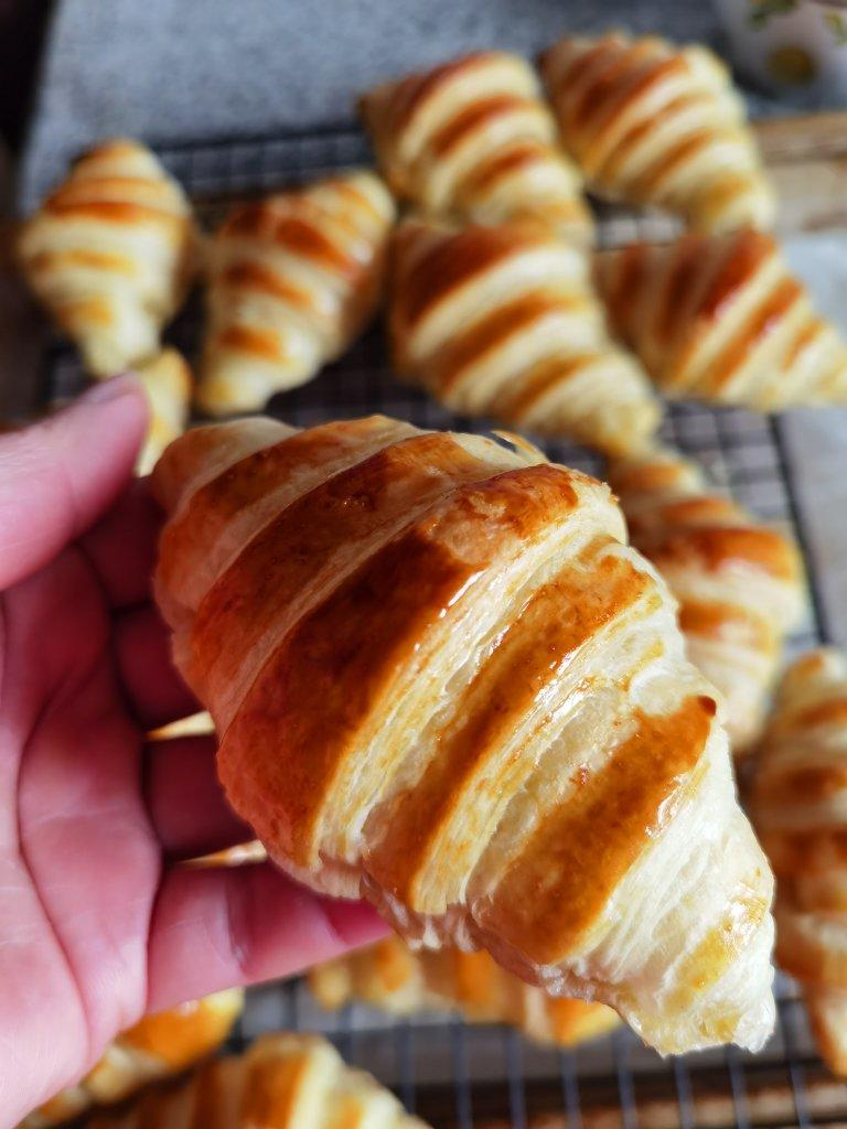 科学猜想——可颂全解密