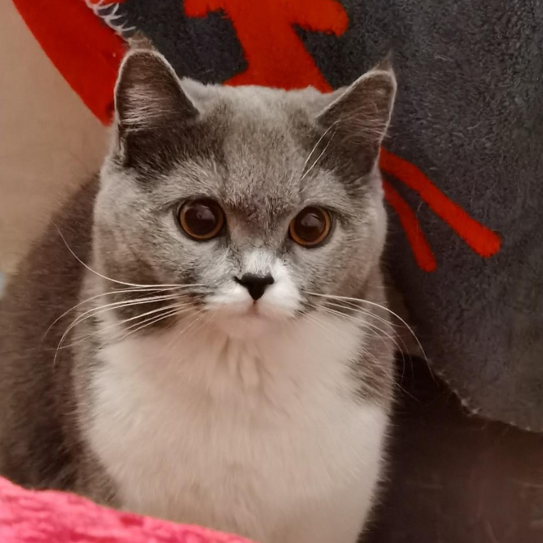 魔王小孙