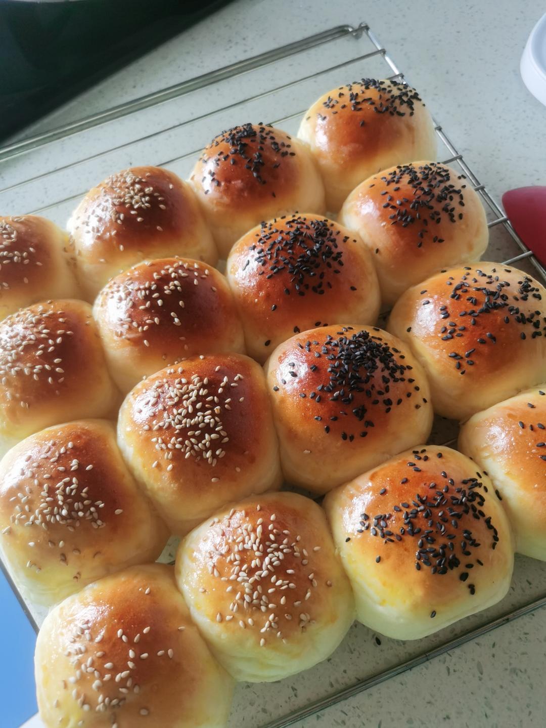 牛奶肉松小餐包（一次发酵）
