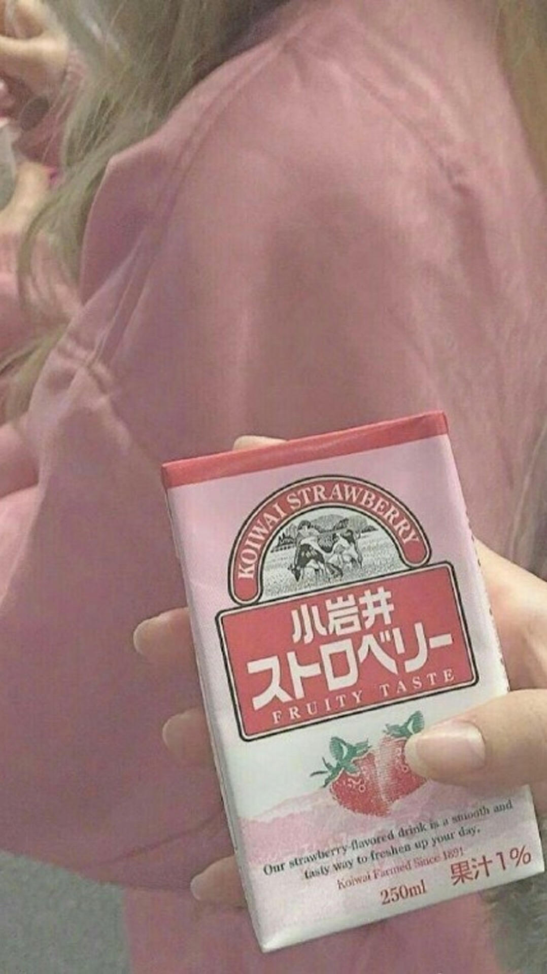肉肉酱M