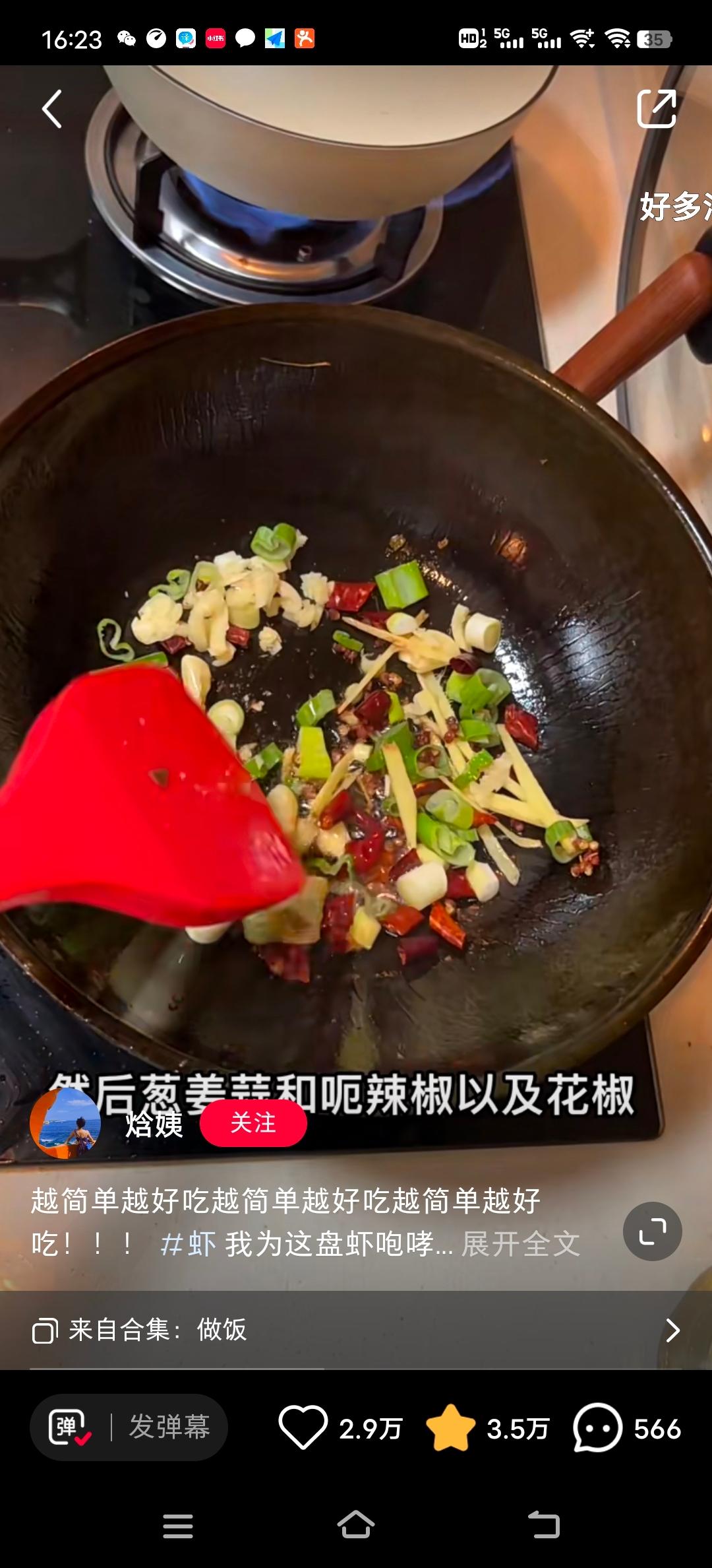 红烧翅根