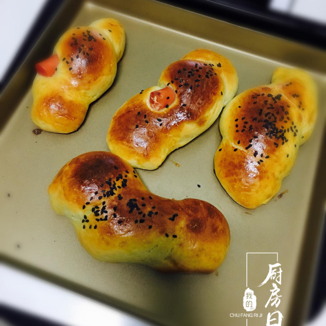 热狗面包卷