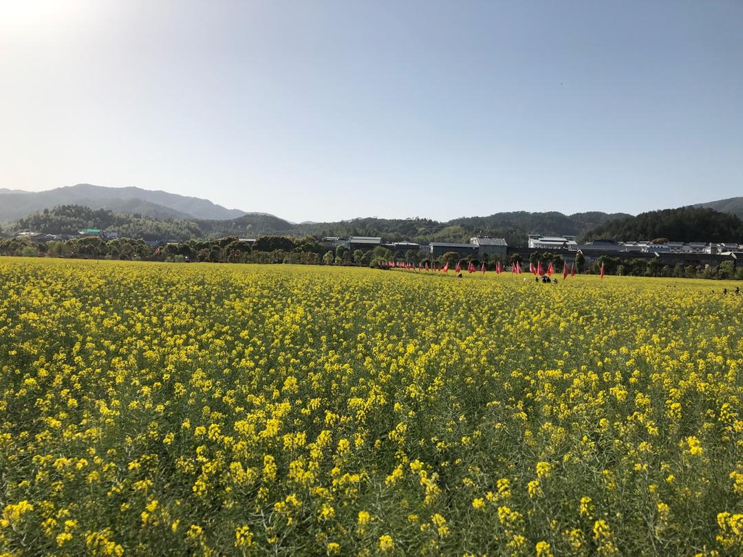 超级省时间上班族也爱的超软面包机吐司（柏翠8990面包机）