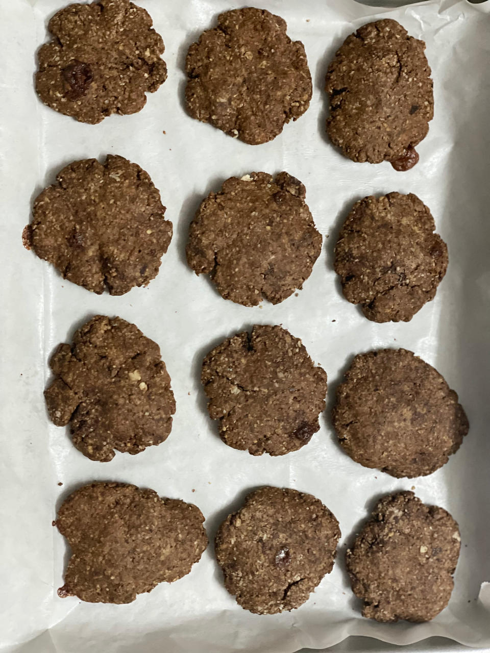瑞典特色燕麦饼干（巧克力口味），只需豁楞豁楞