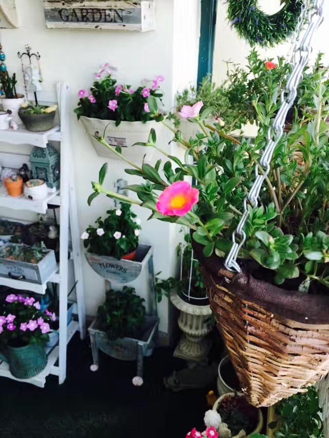 镜头之下，光影之间~