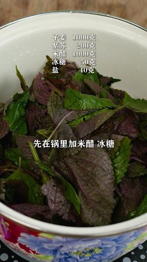 紫苏泡姜，清脆爽口又开胃的做法 步骤2