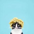 咖喱咕咕鸡拌饭