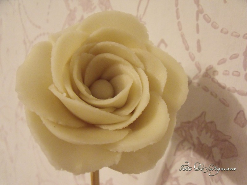 翻糖月季花（玫瑰花）