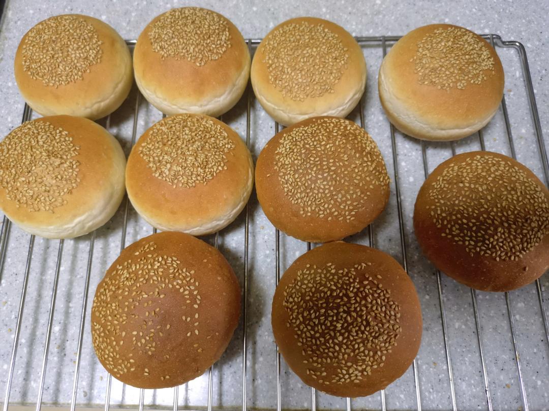 🍔圆滚滚基础汉堡胚