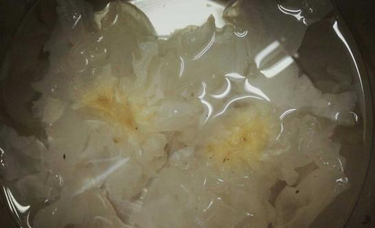 红枣桂圆冰糖炖雪耳的做法 步骤1