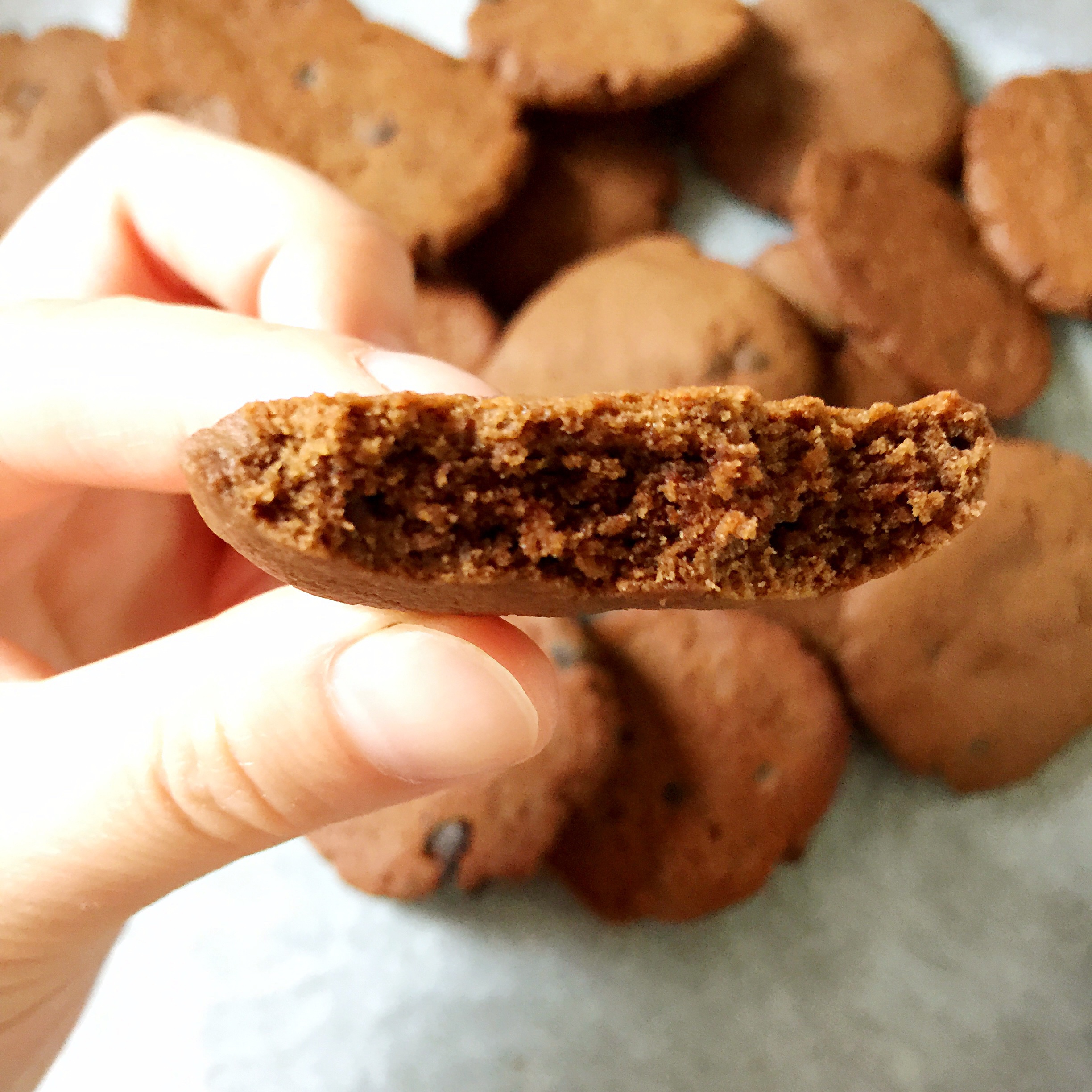 巧克力豆曲奇(Chocolate Chip Cookies)