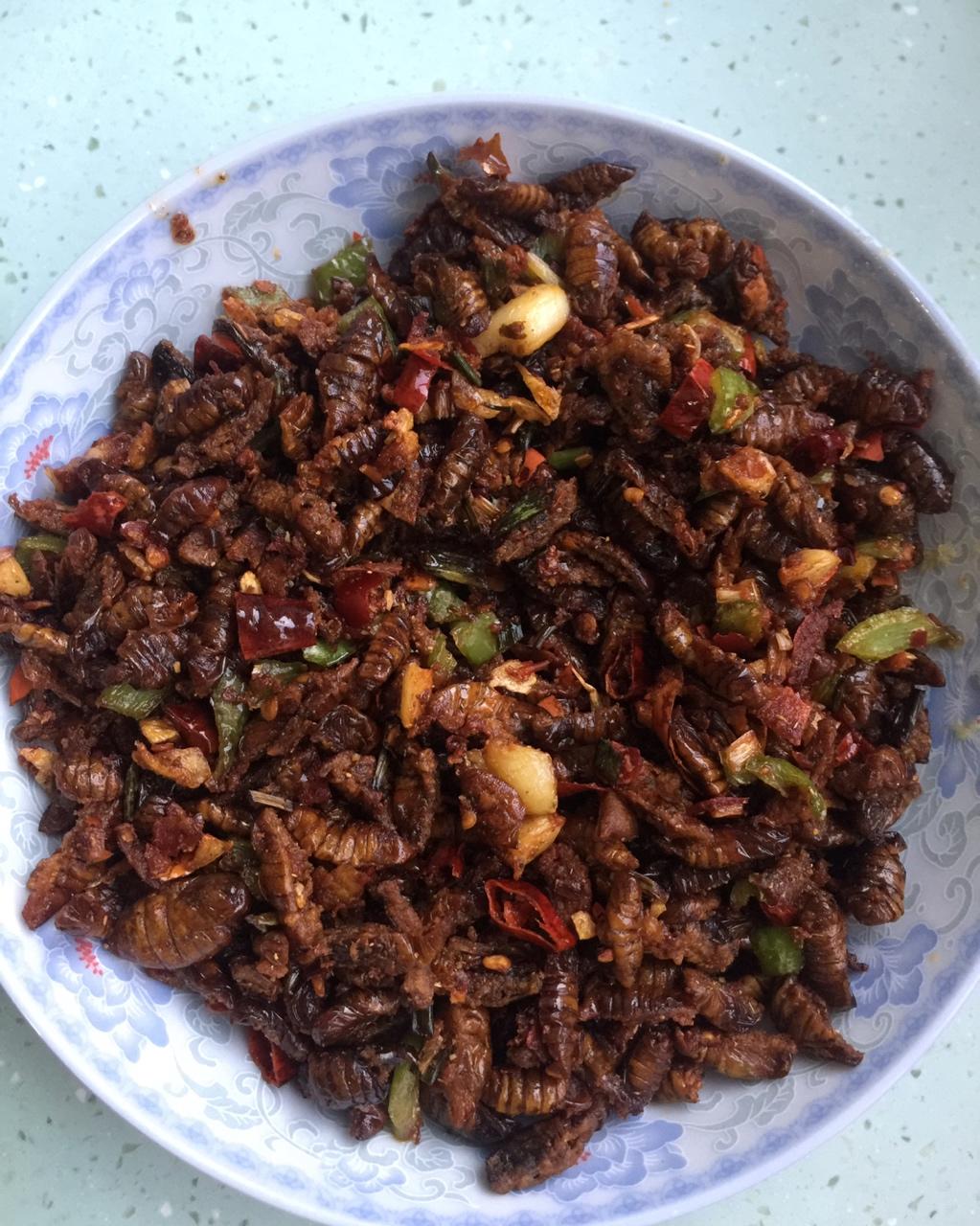 1336f9bd做的干炒蚕蛹蝉蛹茧蛹