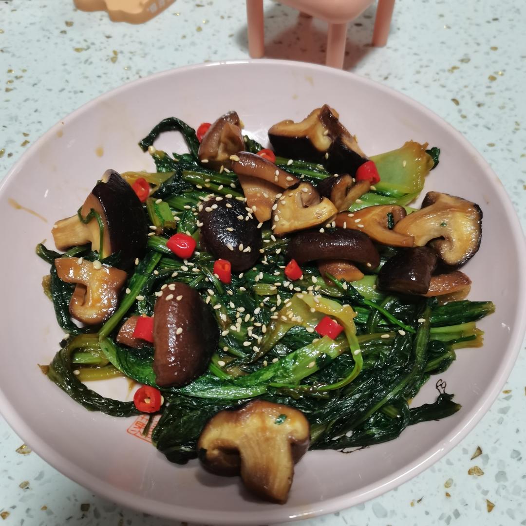 原创～油麦菜的菜生巅峰