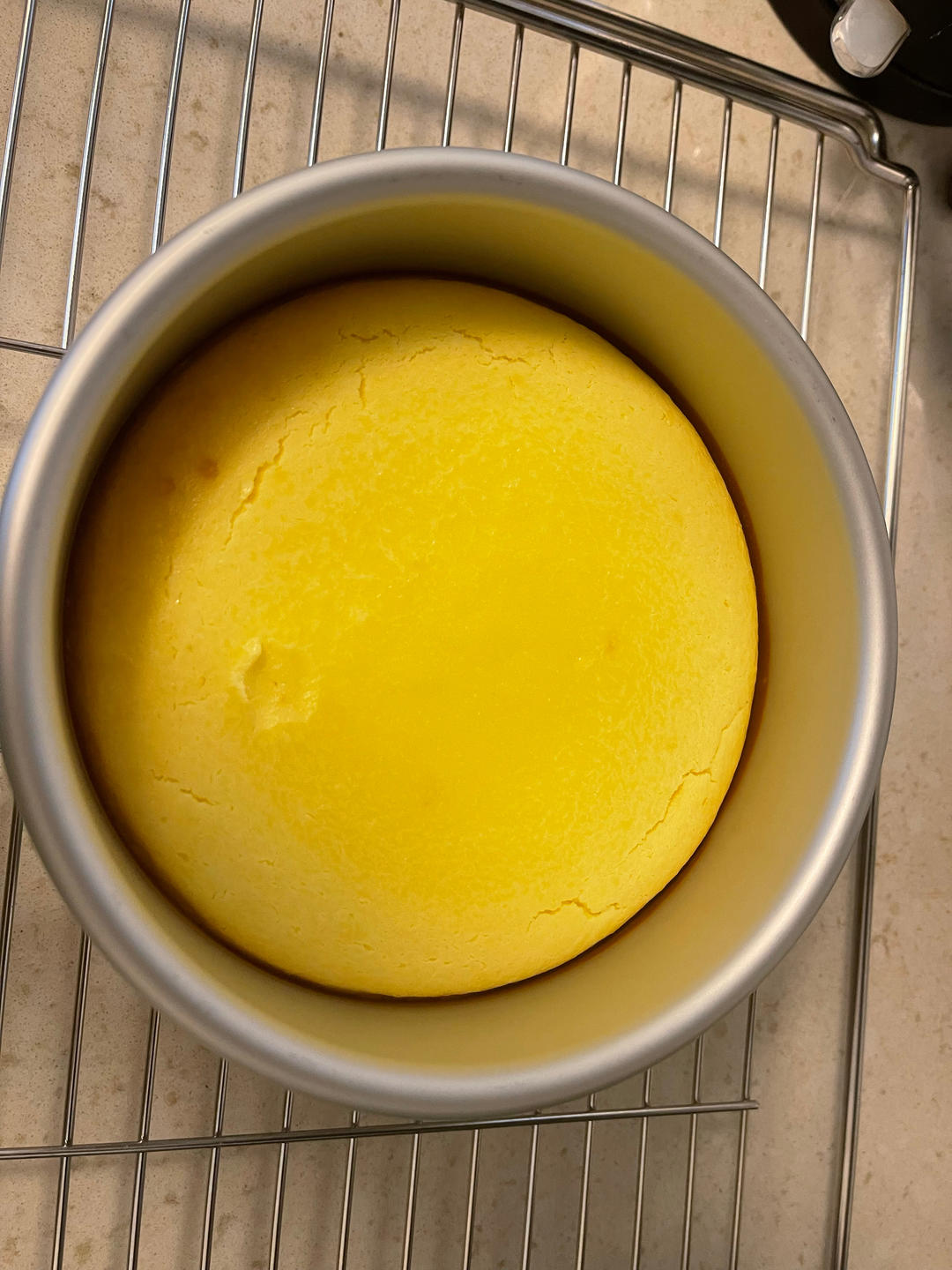 一下子吃了十条酸奶柠檬芝士条，好好吃呀