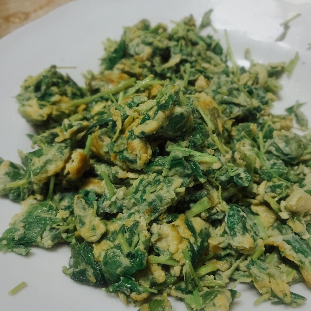 香椿炒鸡蛋