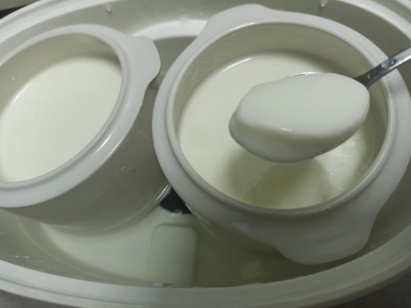 自制酸奶简述