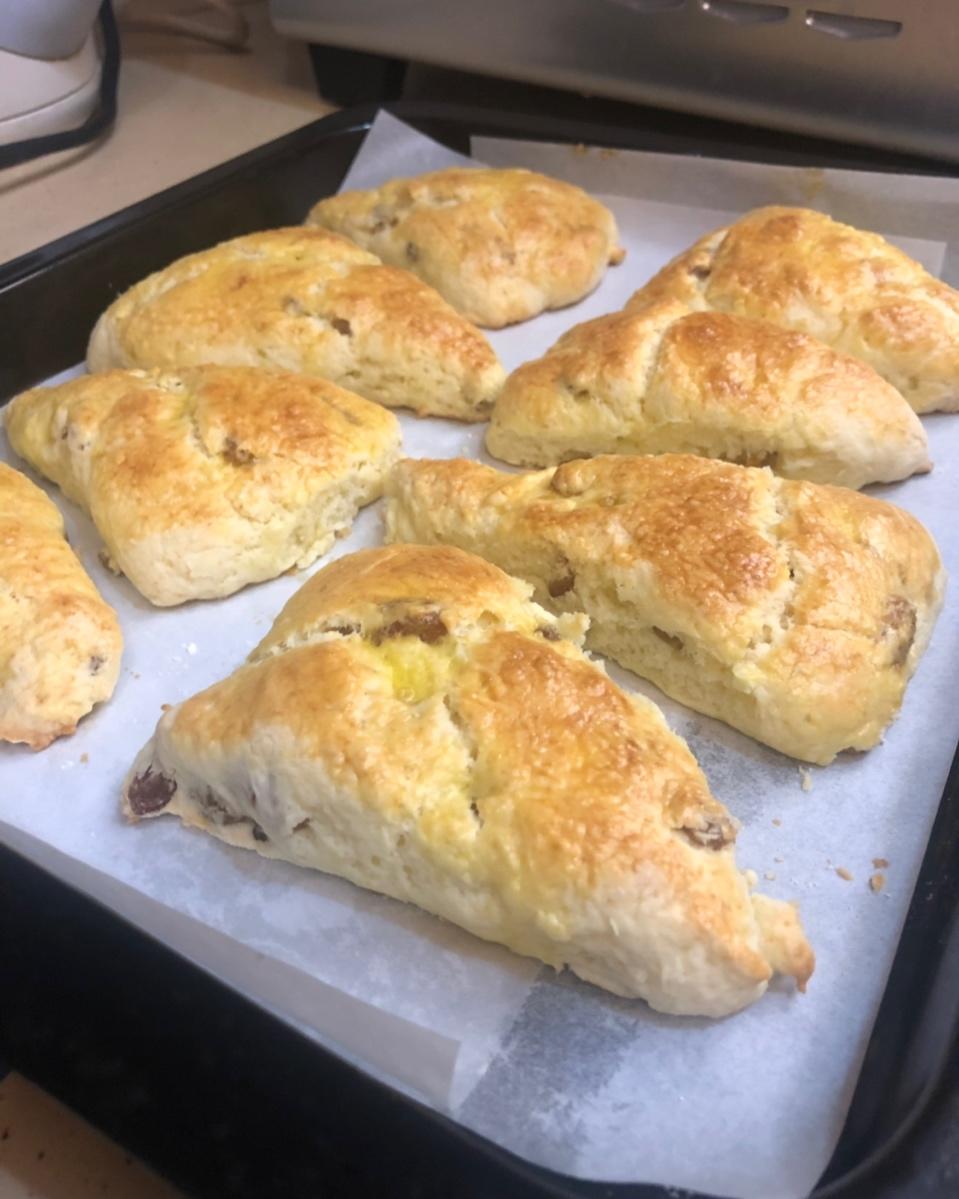 葡萄干司康（酵母版）