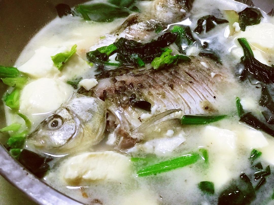 奶白鲫鱼豆腐汤|一条鱼最后的温柔