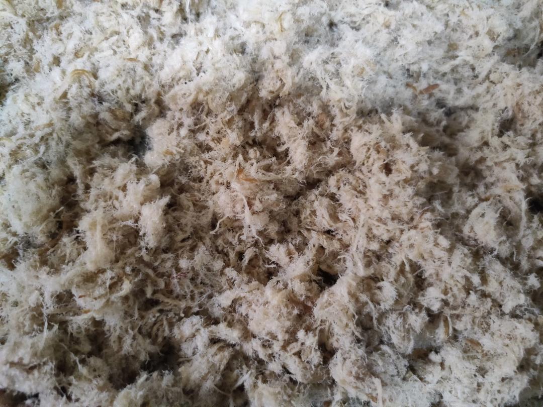 自制肉松，烤箱、厨师机版