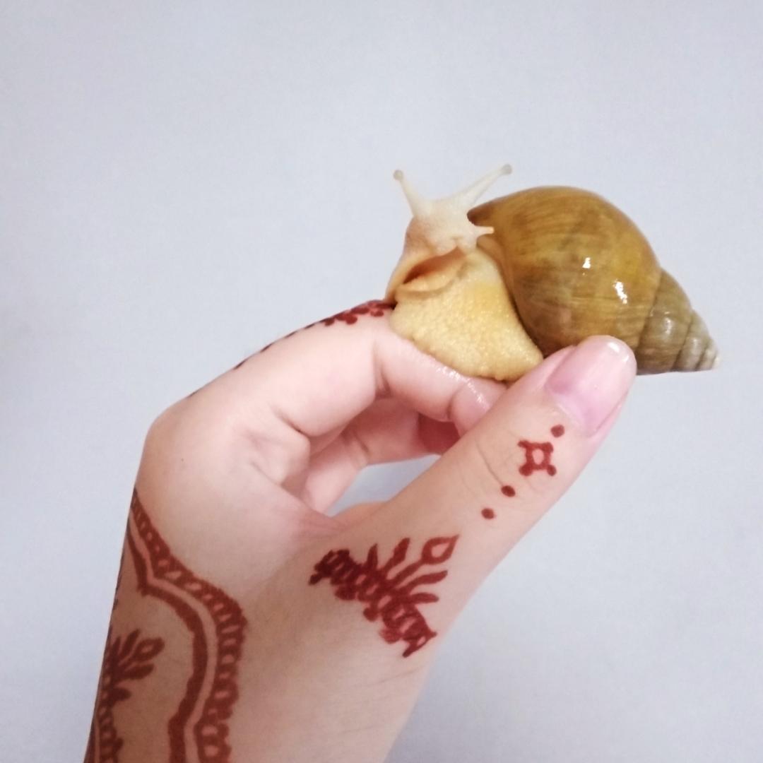 试图绝食自杀的皮皮