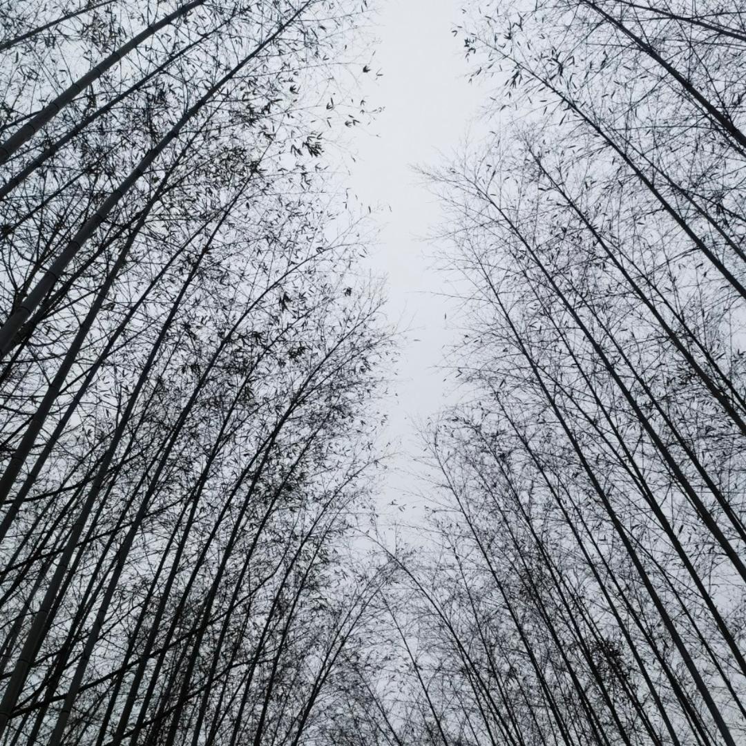 下厨房用户_cwh9d