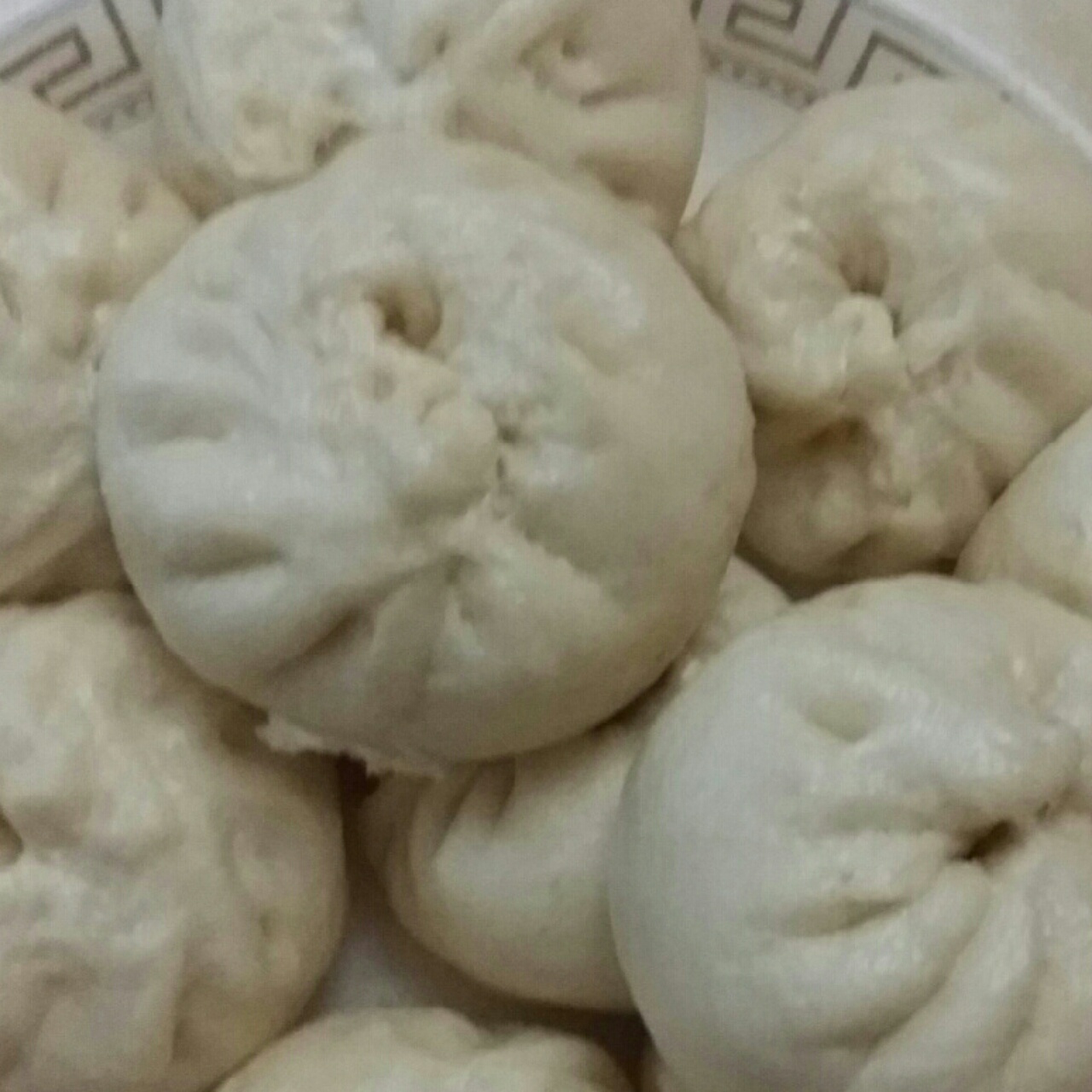 家庭手工肉馅大包子