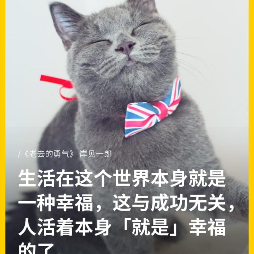 Lily爱折腾
