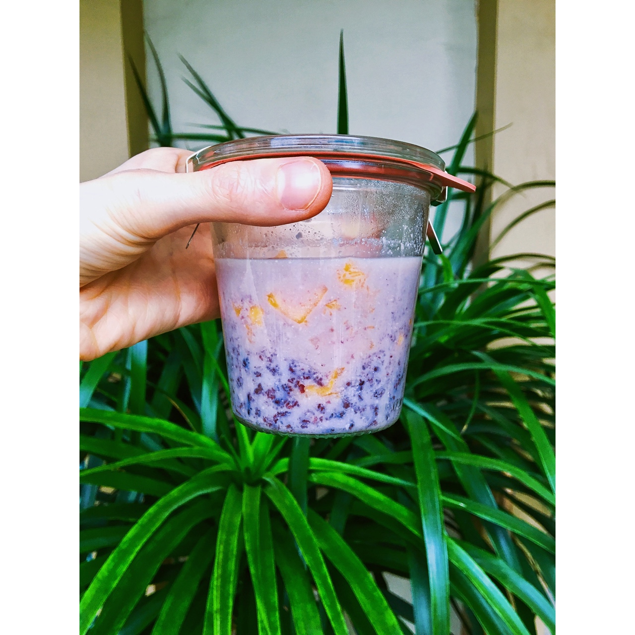 芒果酸奶紫米露