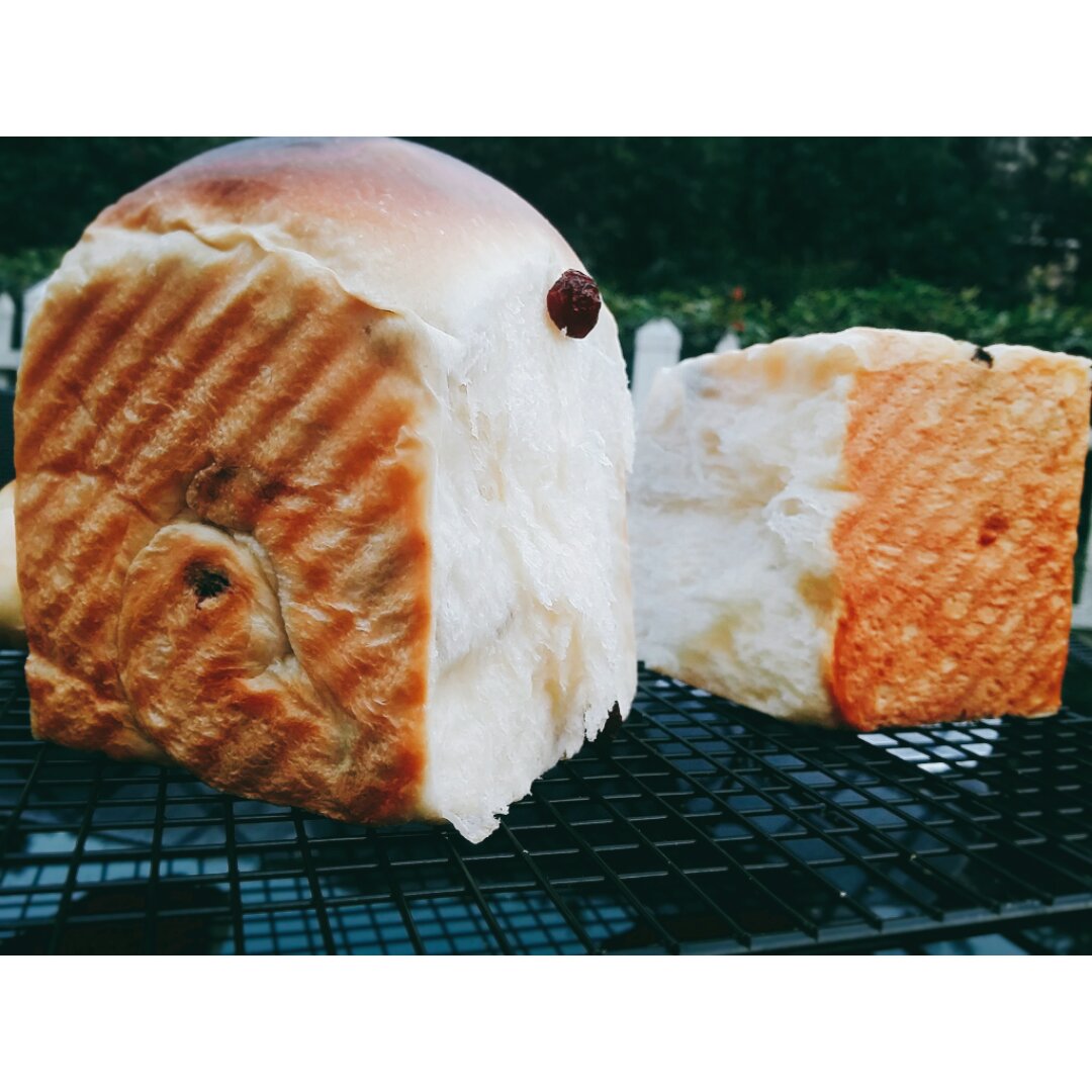 不好吃你打我的葡萄干吐司