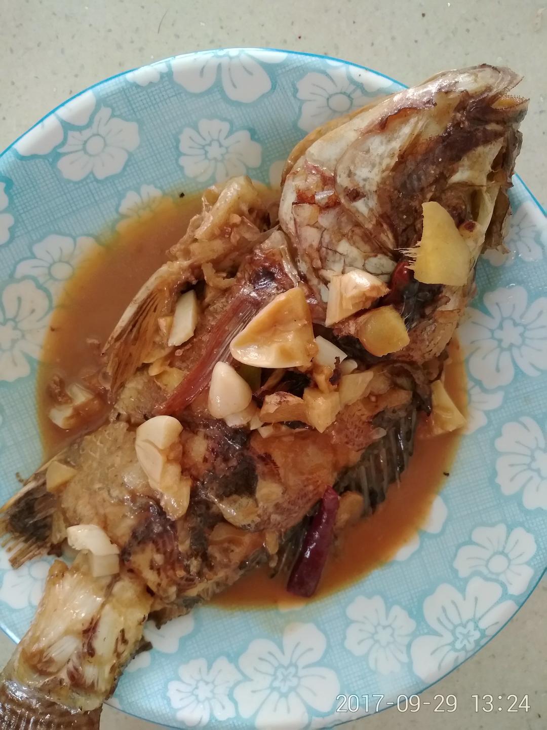 煎鱼🐠