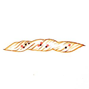 【古灵精怪惹人爱】橙皮巧克力豆卷卷小面包的做法 步骤9