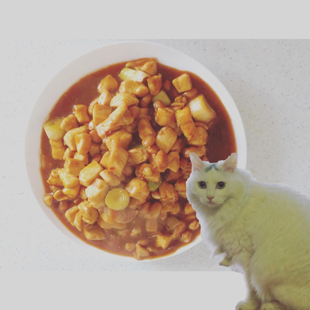 宫保鸡丁 Gong Bao Chiken