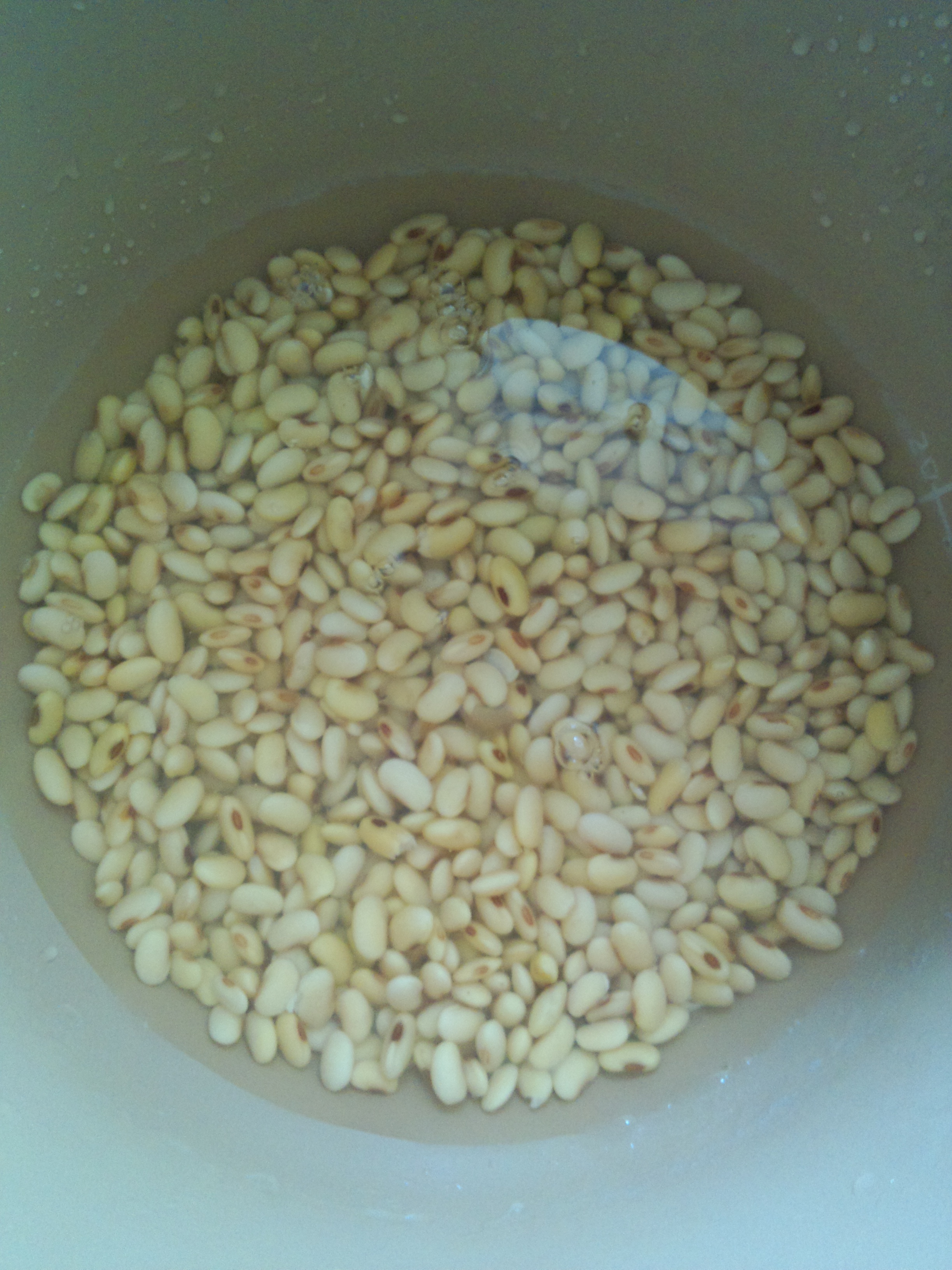 熟豆豆浆的做法 步骤2