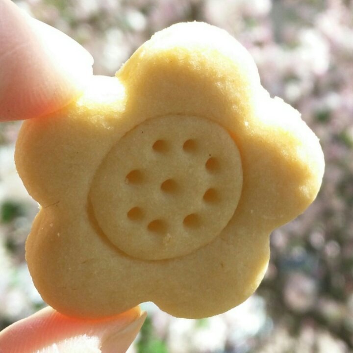 相识、相知、相遇、感恩——我的跨年礼物🎁