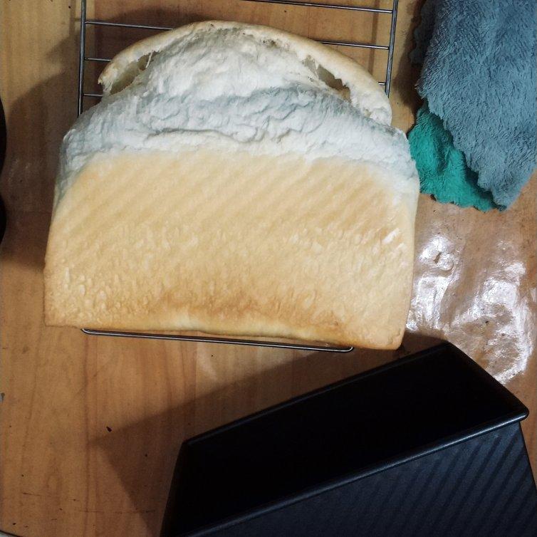 Poolish种（波兰种）吐司——不推荐不行的吐司配方