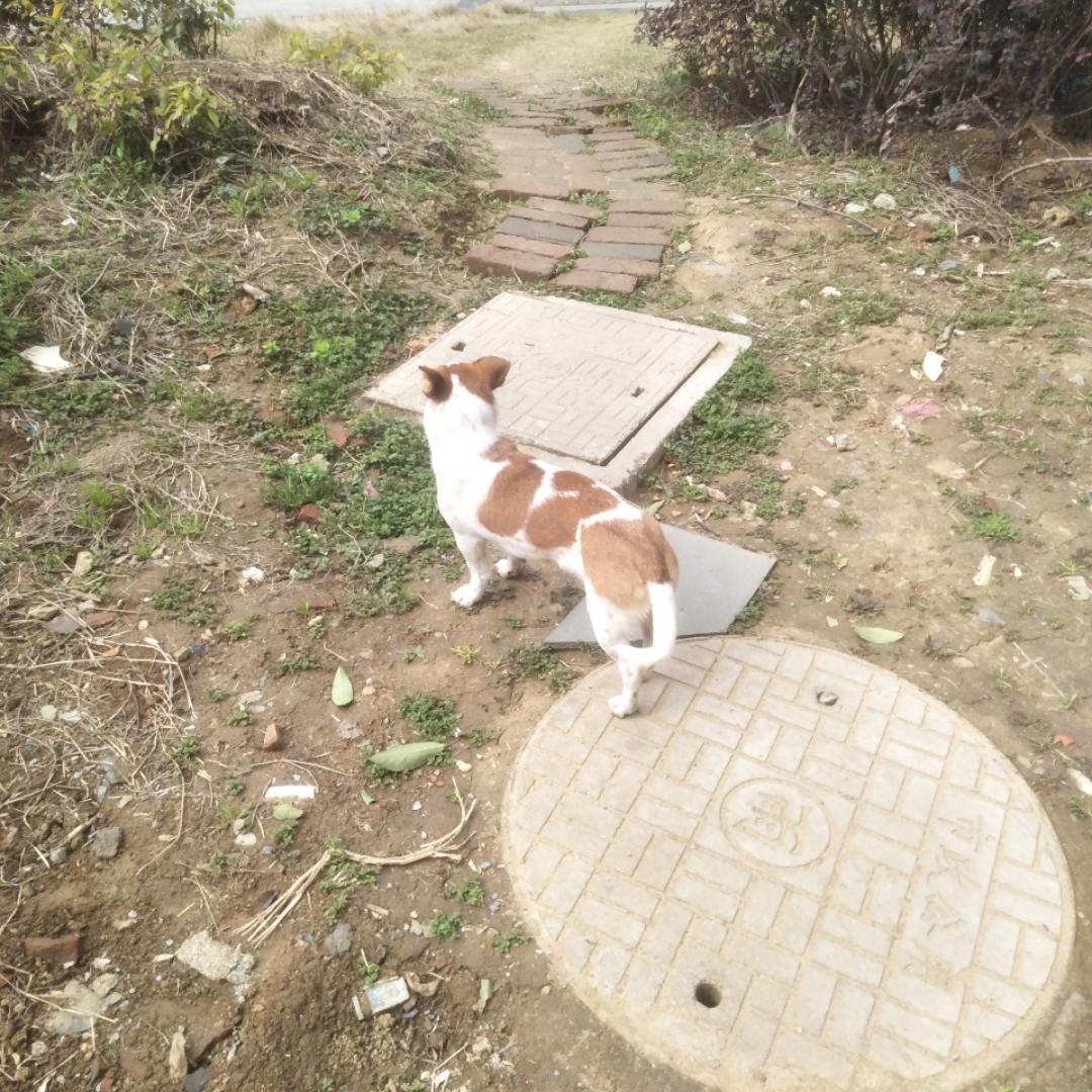 退休生活