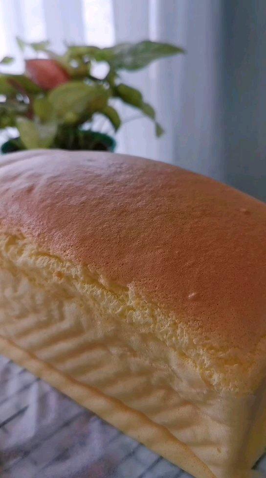 古早流心芝士蛋糕&柯基抖臀蛋糕