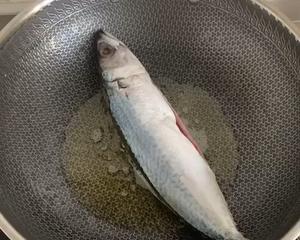 红烧鲅鱼的做法 步骤2