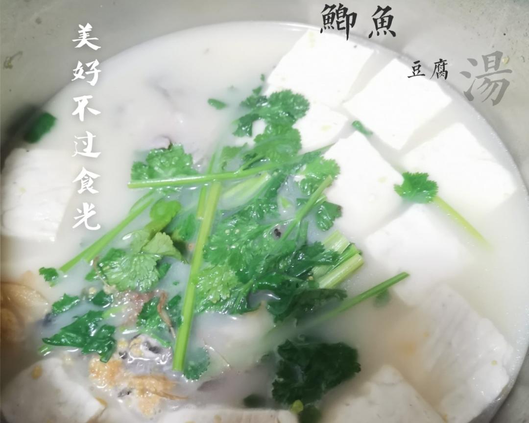 芫茜豆腐鲫鱼汤的做法
