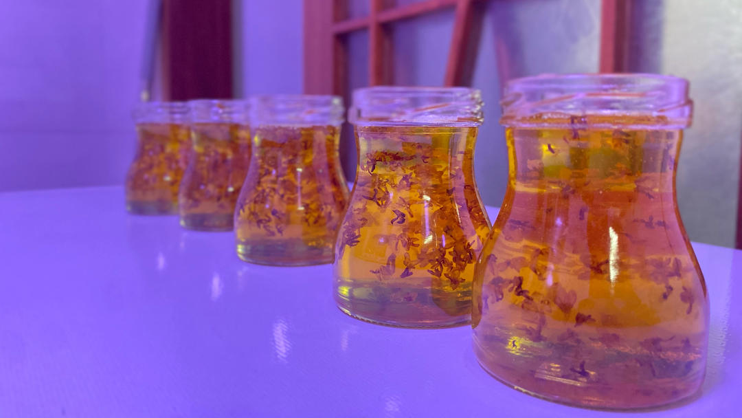 0失败桂花蜜