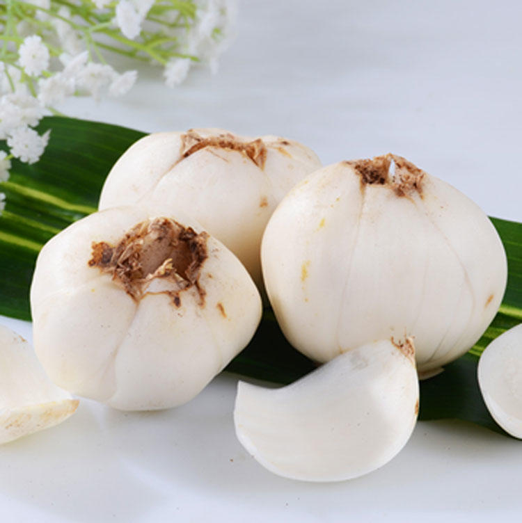 用料白花百合适量蜂蜜适量《经验广集》润肺蜜蒸百合的做法小贴士本品