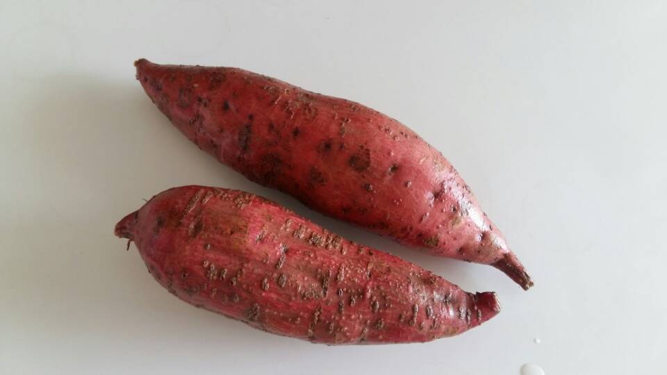 9月食谱合辑——【一星☆食谱】