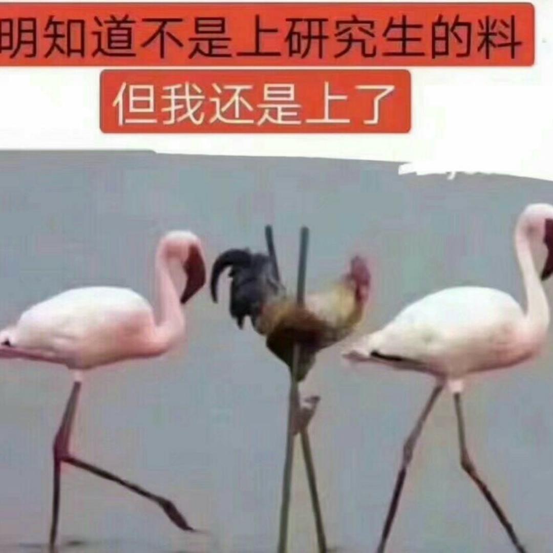 vivi和哔哔
