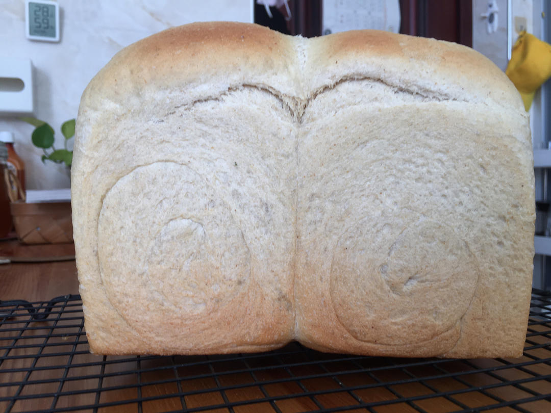 波兰种黑全麦吐司！黑全麦也可以如此柔软！