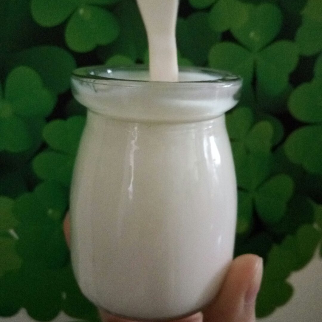 超凝固自制酸奶的成功贴士（酸奶菌粉版）