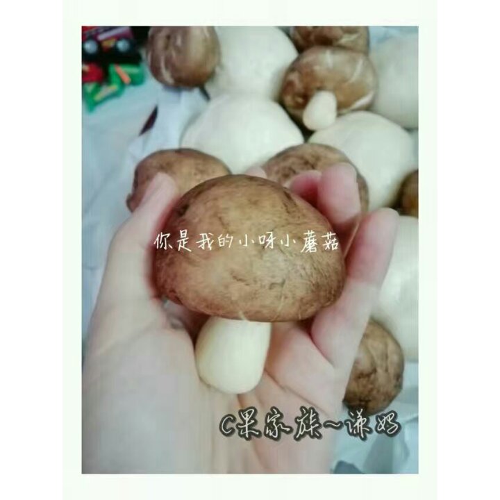 蘑菇包（奶黄馅）